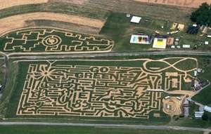 corn-maze