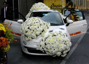 flower-fiat2