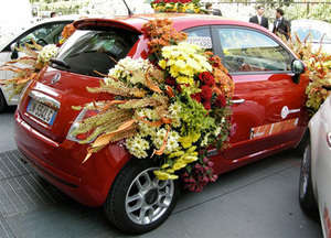 flower-fiat3