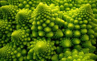 fractals-in-nature8-2