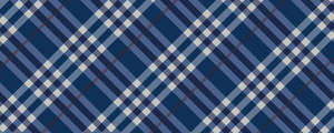 plaid03