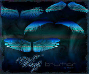 wings-brushes-gimp-by-blaclystuff